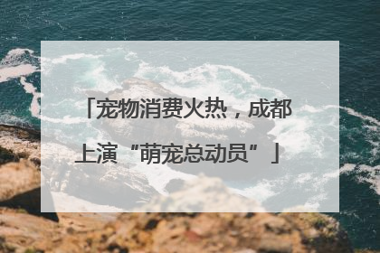 宠物消费火热，成都上演“萌宠总动员”